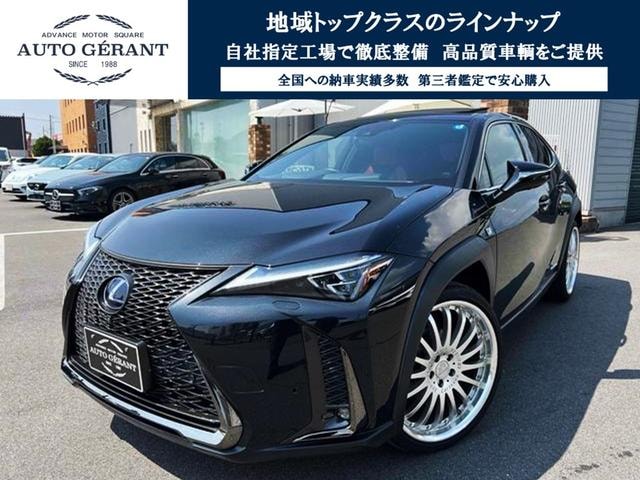 Lexus UX 2019 — фото автомобиля 1