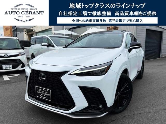 Lexus NX 2022 — фото автомобиля