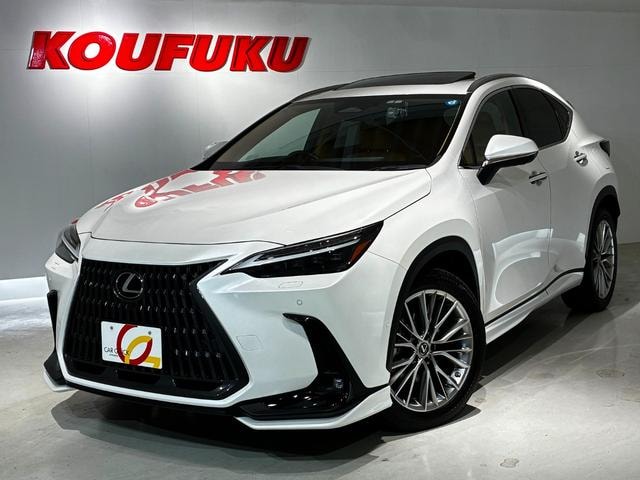Lexus NX 2022 — фото автомобиля 1