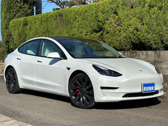 Tesla MODEL 3 2021 — фото автомобиля 1