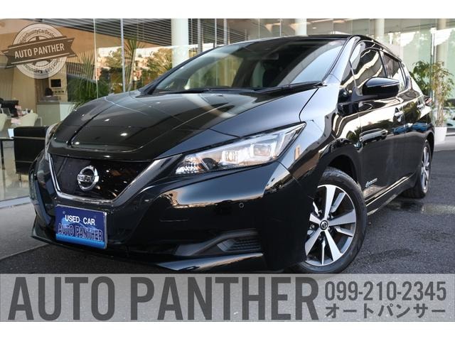 Nissan LEAF 2020 — фото автомобиля 1