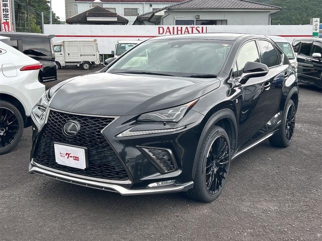 Lexus NX 2018 — фото автомобиля 1