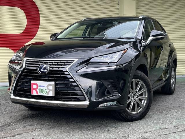 Lexus NX 2021 — фото автомобиля 1