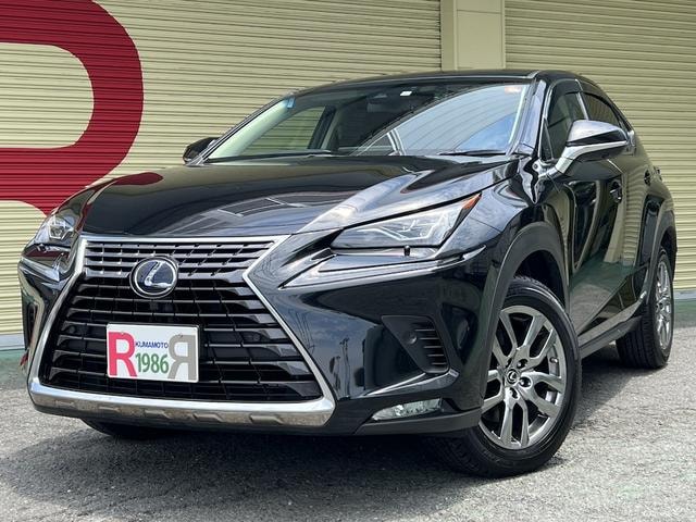 Lexus NX 2019 — фото автомобиля 1