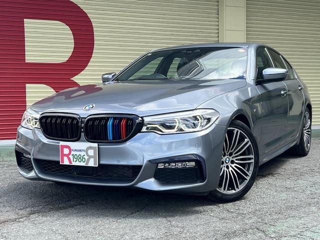 Bmw 5 SERIES 2019 — фото автомобиля 1