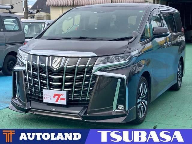 Toyota ALPHARD 2020 — фото автомобиля 1