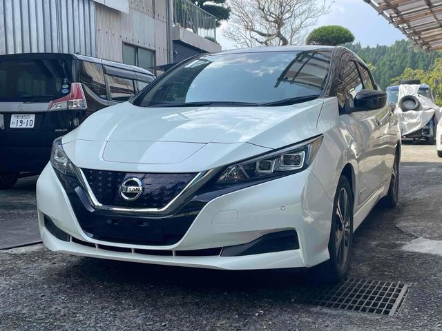 Nissan LEAF 2018 — фото автомобиля 1