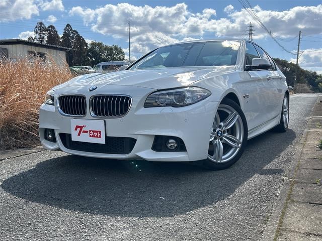 Bmw 5 SERIES 2014 — фото автомобиля 1