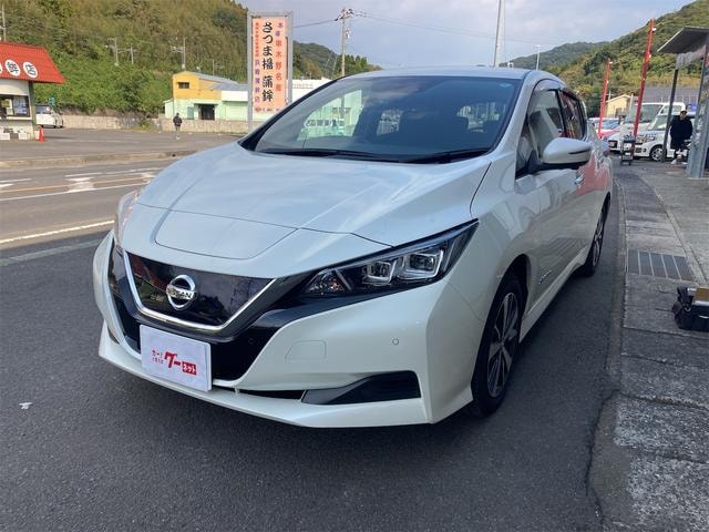 Nissan LEAF 2019 — фото автомобиля 1