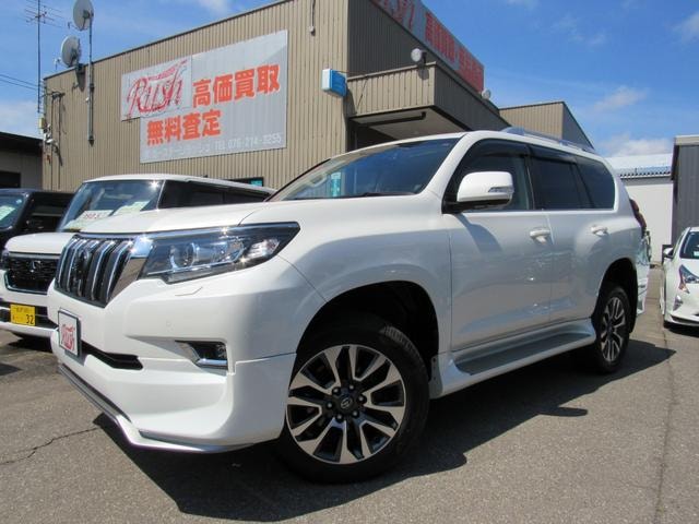 Toyota LAND CRUISER PRADO 2022 — фото автомобиля