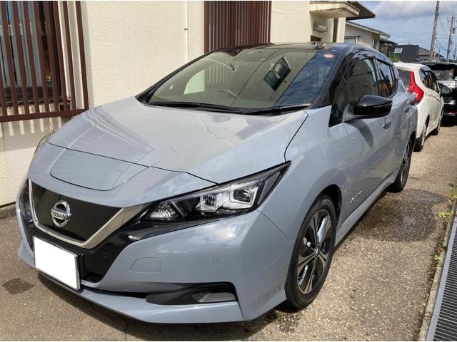 Nissan LEAF 2020 — фото автомобиля 1