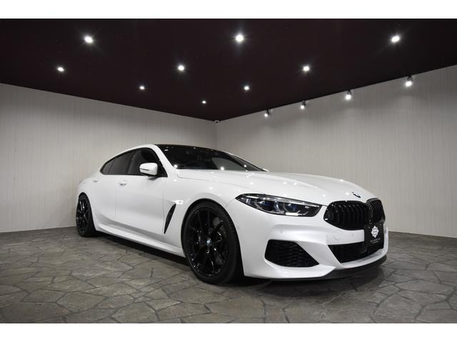 Bmw 8 SERIES 2019 — фото автомобиля 1