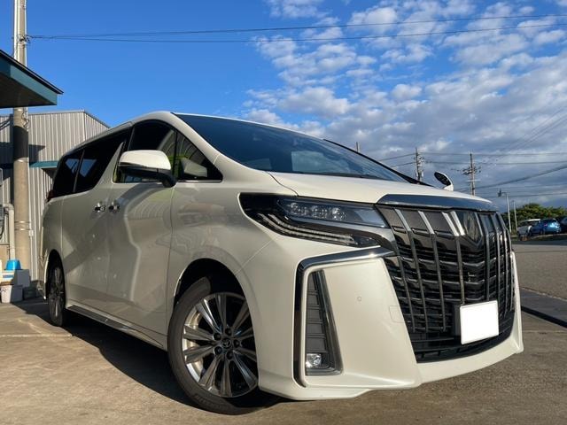 Toyota ALPHARD 2022 — фото автомобиля 1