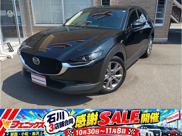 Mazda CX-30 2020 — фото автомобиля 1