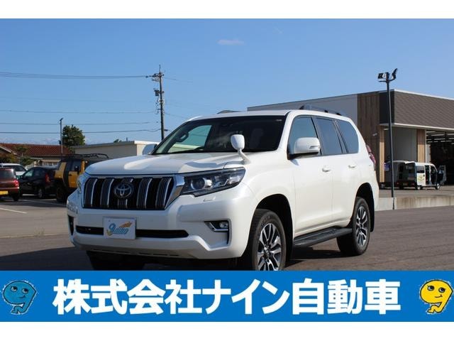 Toyota LAND CRUISER PRADO 2022 — фото автомобиля