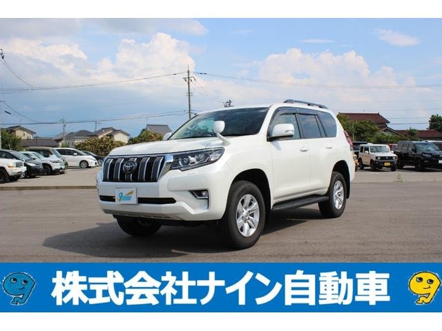 Toyota LAND CRUISER PRADO 2022 — фото автомобиля