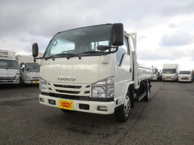 Isuzu ELF TRUCK 2020 — фото автомобиля