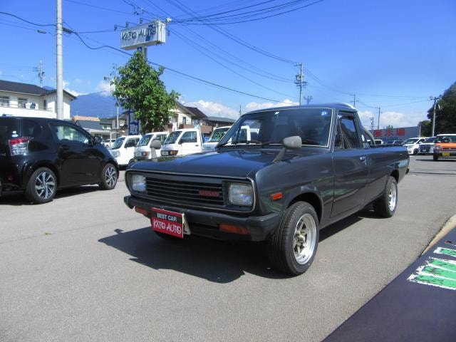 Nissan SUNNY TRUCK 1993 — фото автомобиля