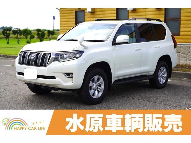 Toyota LAND CRUISER PRADO 2022 — фото автомобиля