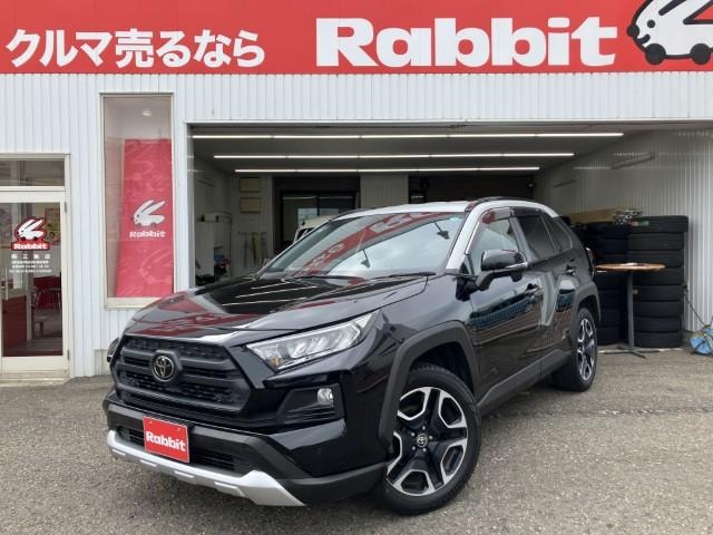 Toyota RAV4 2019 — фото автомобиля
