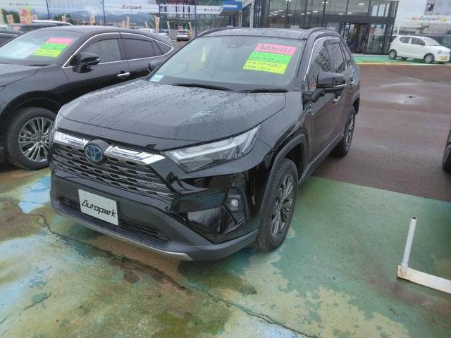 Toyota RAV4 2022 — фото автомобиля 1