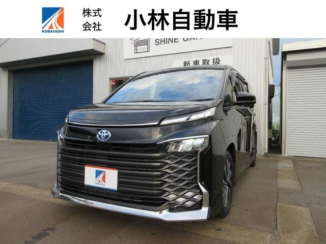 Toyota VOXY 2023 — фото автомобиля
