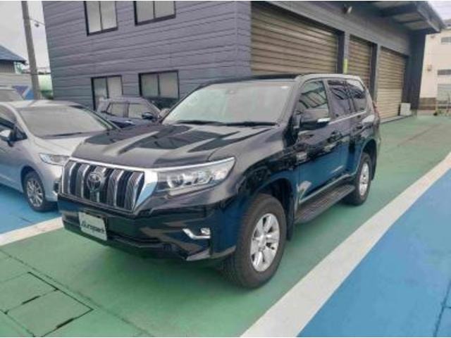 Toyota LAND CRUISER PRADO 2021 — фото автомобиля