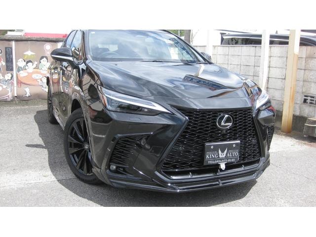 Lexus NX 2023 — фото автомобиля 1