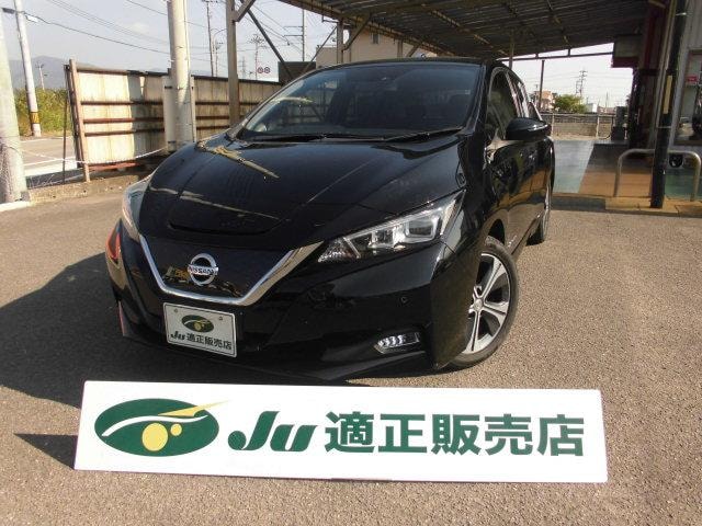 Nissan LEAF 2018 — фото автомобиля 1