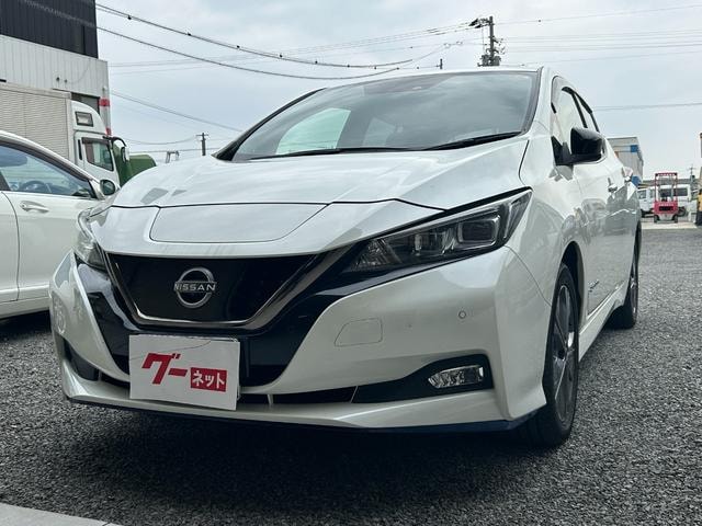 Nissan LEAF 2022 — фото автомобиля 1