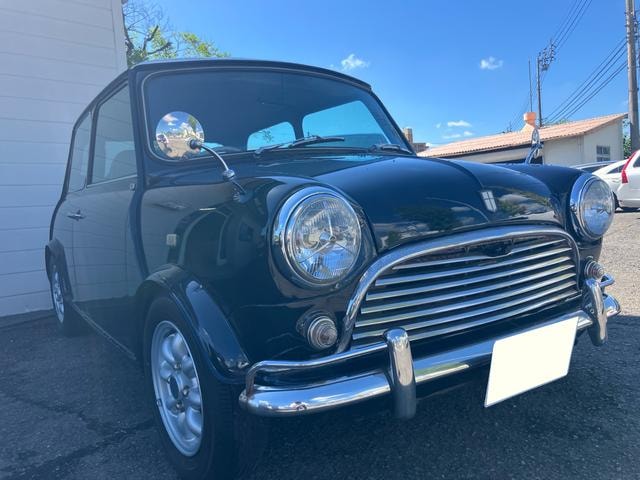 Rover MINI 1990 — фото автомобиля 1
