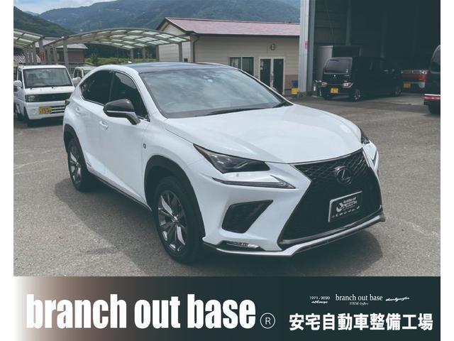 Lexus NX 2019 — фото автомобиля