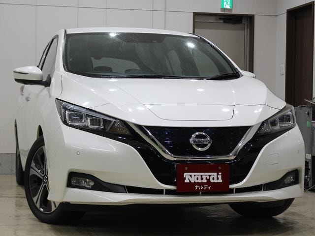Nissan LEAF 2019 — фото автомобиля 1