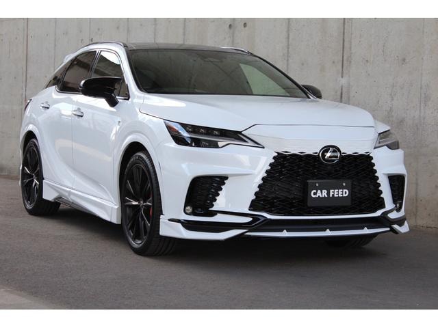 Lexus RX 2023 — фото автомобиля 1