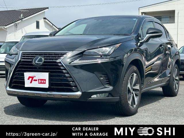 Lexus NX 2019 — фото автомобиля 1