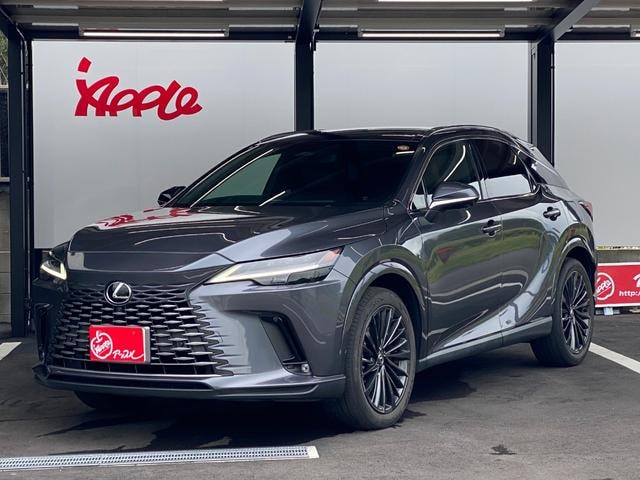 Lexus RX 2023 — фото автомобиля 1