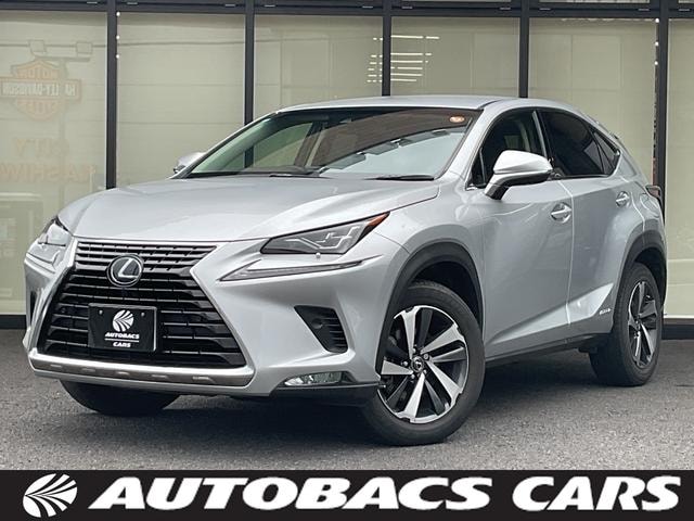 Lexus NX 2018 — фото автомобиля 1