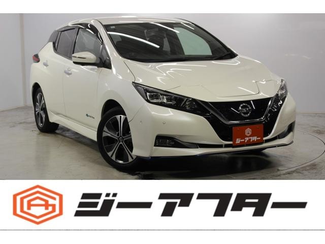 Nissan LEAF 2020 — фото автомобиля 1