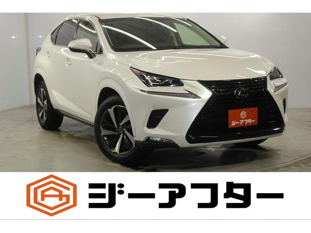Lexus NX 2019 — фото автомобиля 1