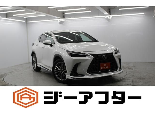 Lexus NX 2023 — фото автомобиля 1