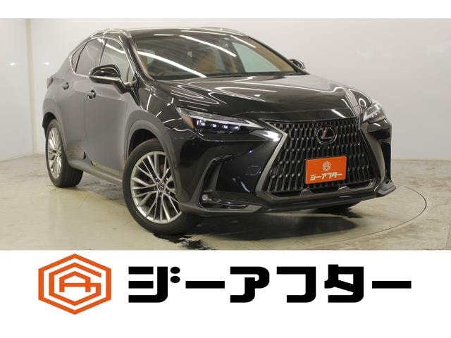 Lexus NX 2023 — фото автомобиля 1