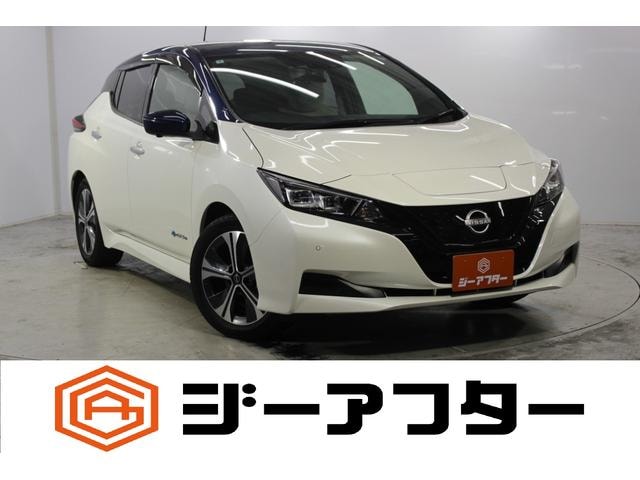 Nissan LEAF 2022 — фото автомобиля 1