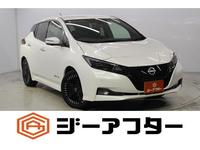 Nissan LEAF 2022 — фото автомобиля 1