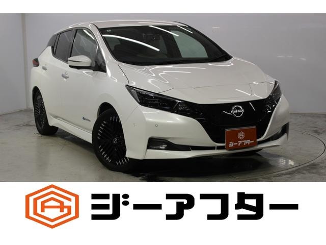 Nissan LEAF 2022 — фото автомобиля 1