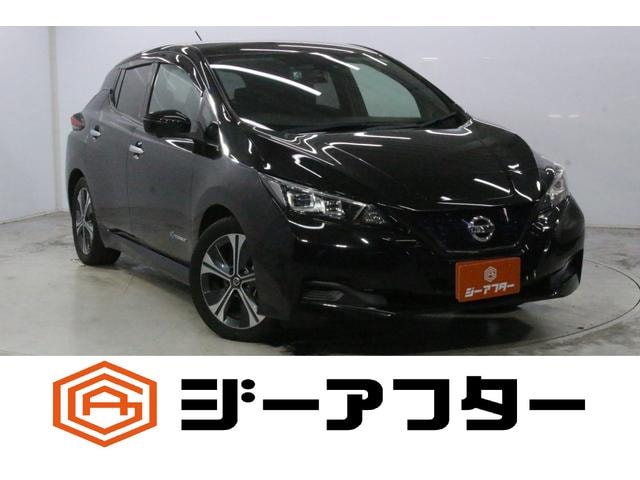 Nissan LEAF 2019 — фото автомобиля 1