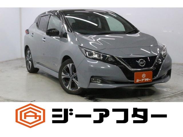 Nissan LEAF 2020 — фото автомобиля