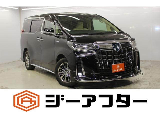 Toyota ALPHARD HYBRID 2020 — фото автомобиля