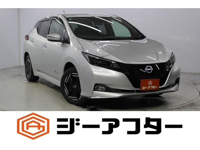Nissan LEAF 2025 — фото автомобиля 1