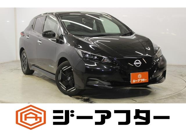 Nissan LEAF 2022 — фото автомобиля 1