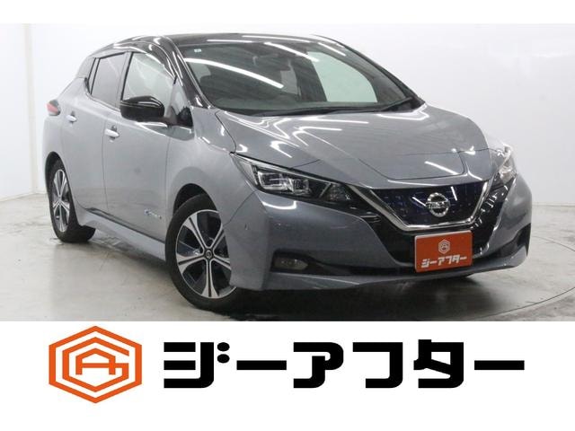 Nissan LEAF 2020 — фото автомобиля 1